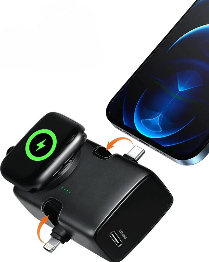 Dual Port 2-in-1 Power bank