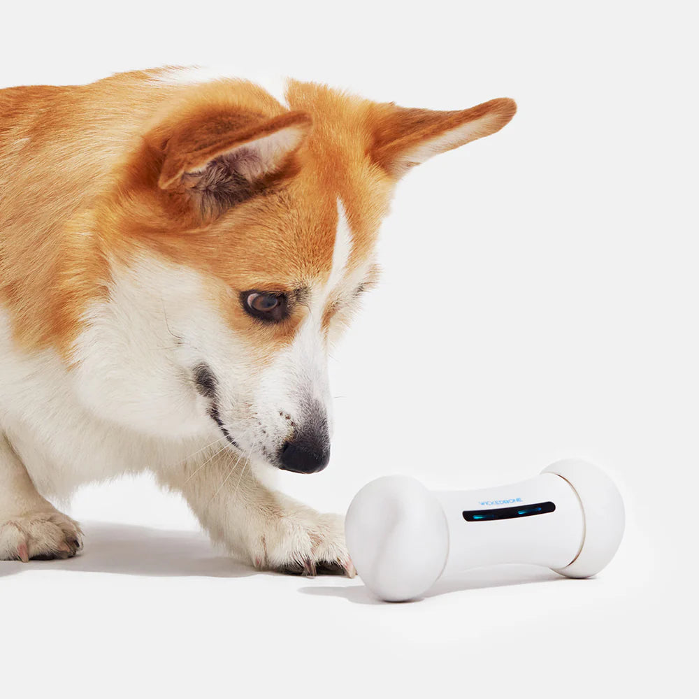Wicked Bone Smart Dog Bone